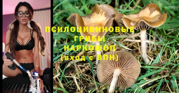 COCAINE Майский